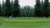 Online Booking - Round of Golf at Village Greens Golf Course.