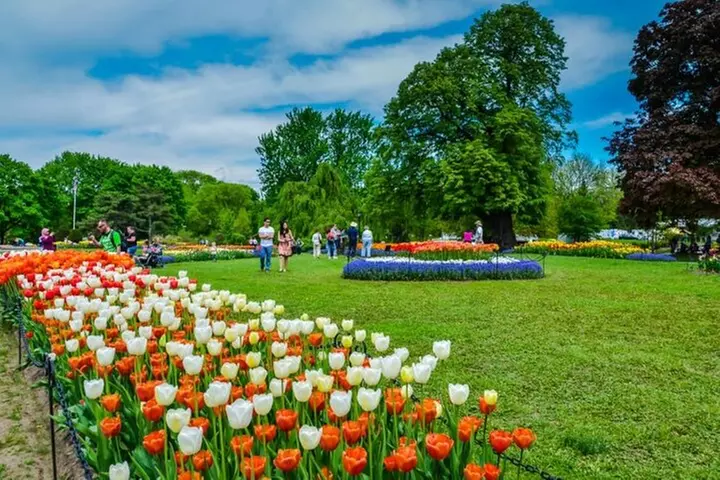 Windmill Island-Tulip Festival Day Tour from Chicago - Primary Image