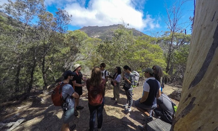 Image 14: Hobart: Wineglass Bay & Freycinet National Park - Active Day Tour
