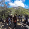 Image 14: Hobart: Wineglass Bay & Freycinet National Park - Active Day Tour