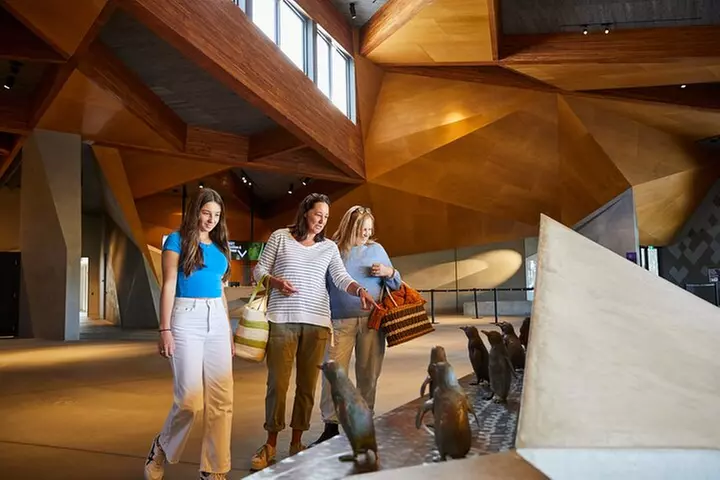 Phillip Island Penguin Parade, Wildlife and Beach Boxes Bus Tour