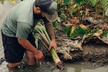 Kualoa Ranch: Malama Experience Tour - Second Medium