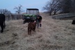Farm Adventure Experience in Red Hill Ranch - Second Medium