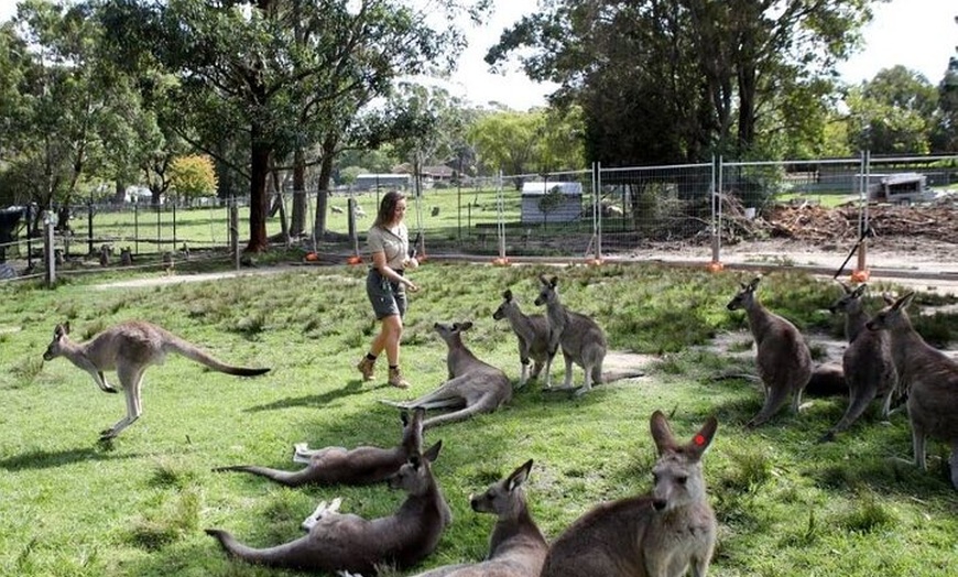 Image 4: 7 Wonders of Sydney South/CBD Luxury Private Tour