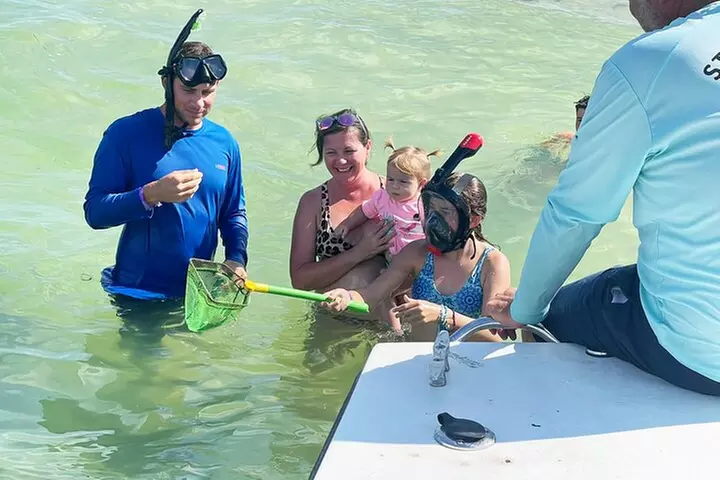 Private 3-Hour Eco Tour with Island Hopping in St. Petersburg, FL - Primary Image