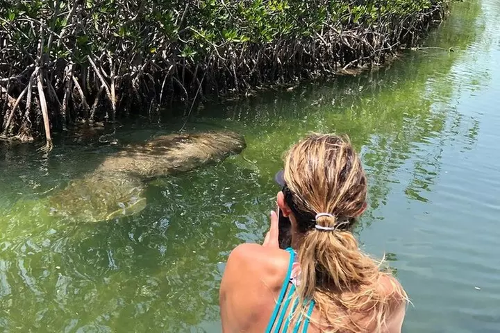 Private 2 hour Mangrove Ecotour