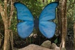 Admission Ticket to Cenotes Zapote EcoPark - Second Medium