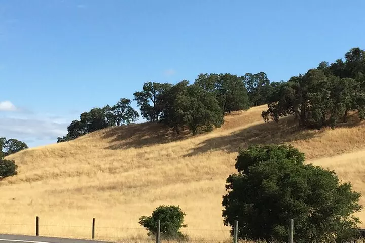 Cow Heaven: An Agricultural Self-Guided Driving Tour