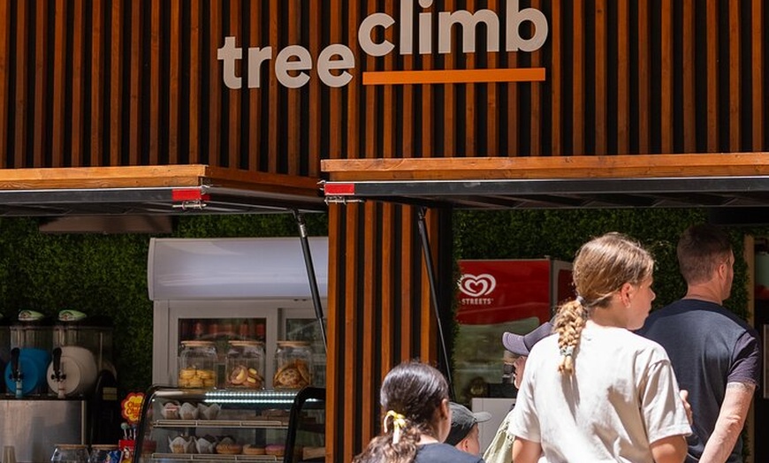 Image 6: Take the Challenge and Conquer the Salisbury Treetops