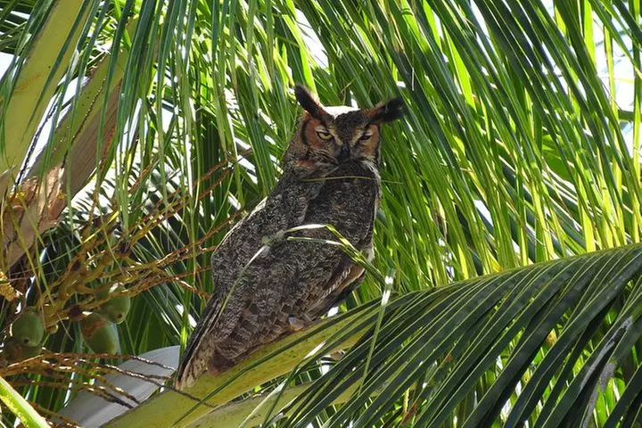Everglades Day Safari from Ft Lauderdale