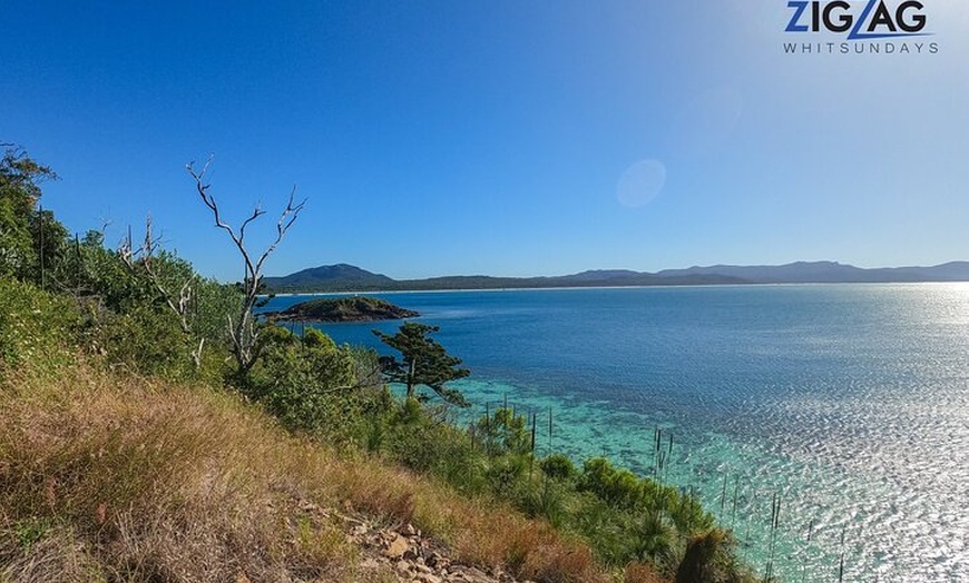 Image 11: Whitsundays Whitehaven Beach Tour: Beaches, Lookouts and Snorkel