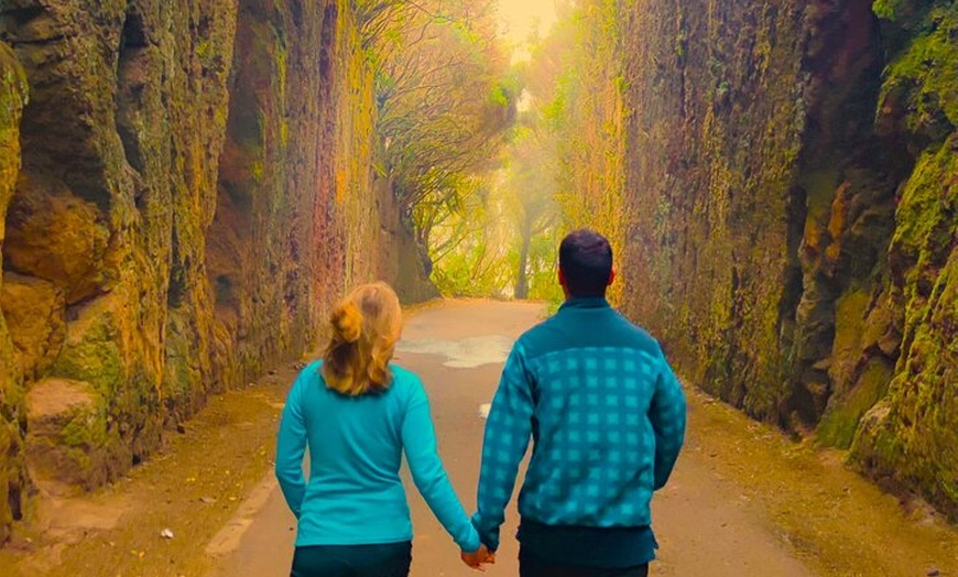 Image 4: Tenerife : Tour de Senderismo en Anaga & Bosque Encantado con Recogida