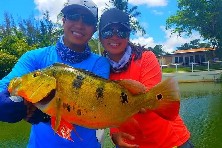 Peacock Bass Fishing Trips Near Key Largo