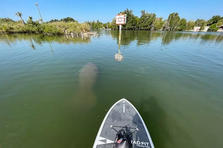 Wildlife Refuge Manatee, Dolphin & Mangrove Kayak or Paddleboarding...