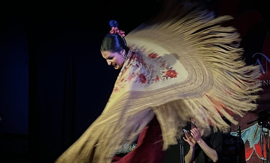 Image 10: Espectáculo de Flamenco Tradicional en el Tablao Casa Ana