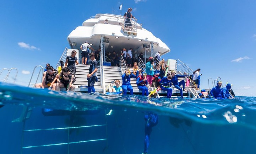 Image 8: Great Barrier Reef Snorkeling and Diving Cruise from Cairns