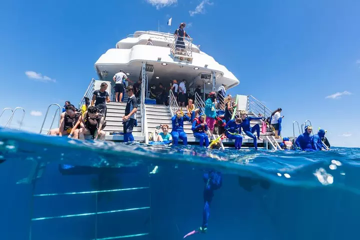 Great Barrier Reef Snorkeling and Diving Cruise from Cairns