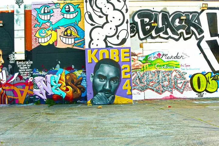 75 Min Best of Houston tour Small-Group