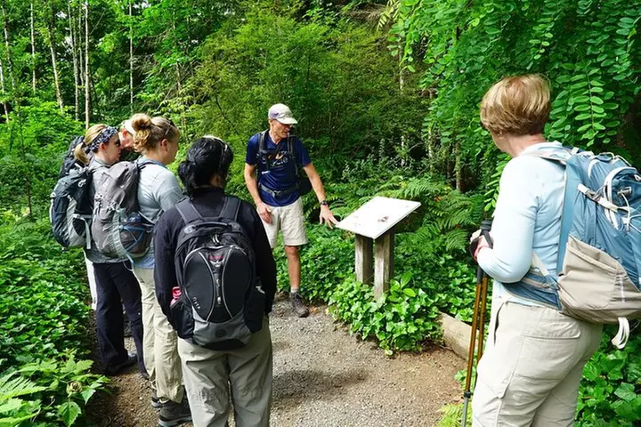 Best of Olympic National Park from Seattle: All-Inclusive Small-Gro...