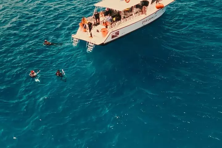 Certified Diver: 2-Tank Shallow Reef Dives off Oahu