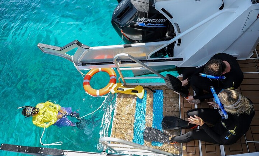Image 15: Half Day Great Barrier Reef Snorkeling Tour