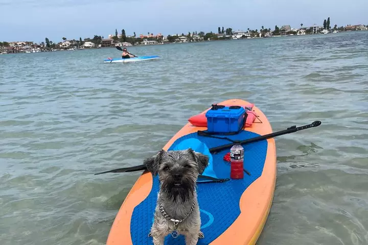 Half Day Kayak Rental to John's Pass Sandbar & Mangrove Tunnel