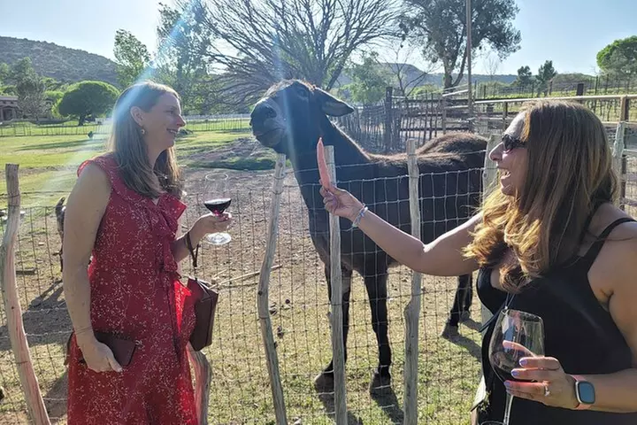 Voted Best in Sedona- Excellent Value Private Wine Tour!