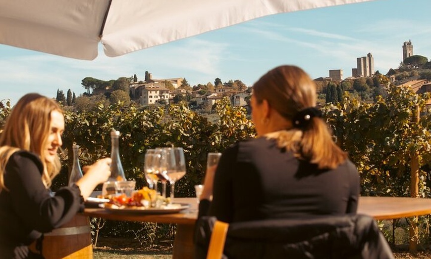 Image 3: Tour privato delle cantine di San Gimignano, con degustazione di vi...