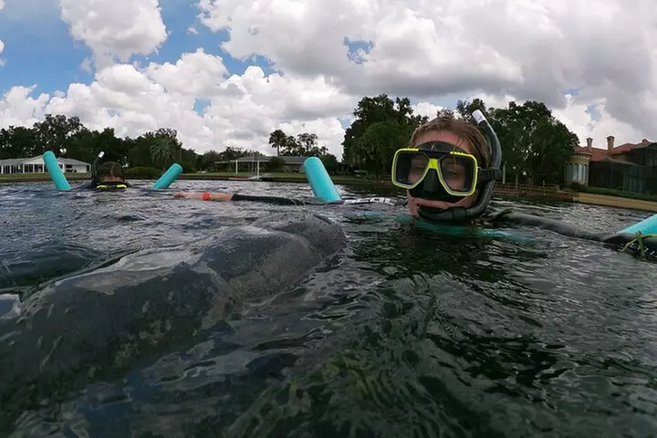 3 Hour Manatee Swim - Small Group w/complimentary photos!