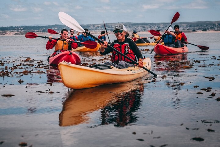 Monterey Bay Kayak Rental Two Hours: Otters, Seals and Sea Lions