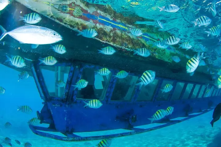 Glass Bottom Boat in Cancun - Primary Image