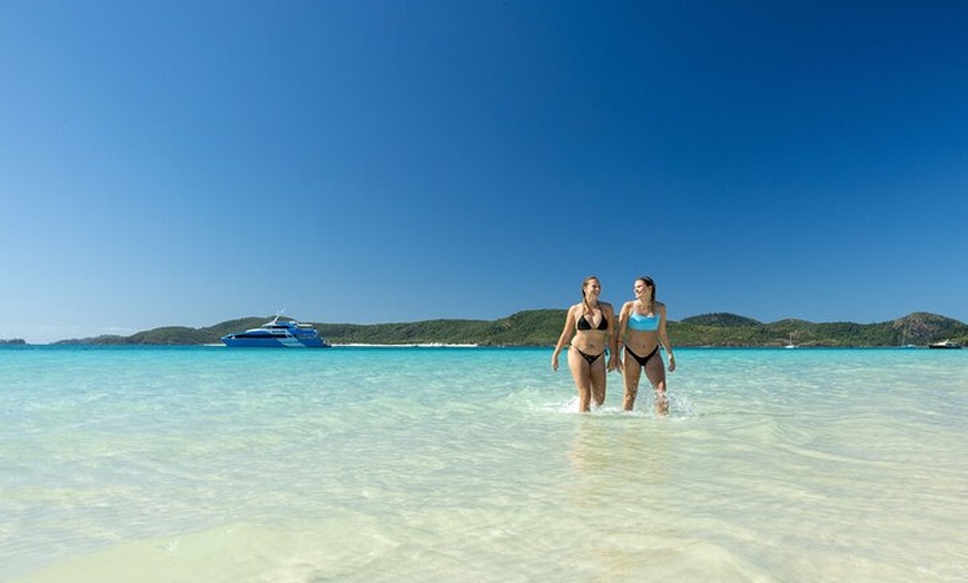 Image 12: The Big Island Day Tour: Full day tour to Whitehaven Beach