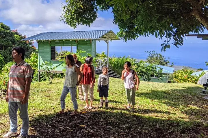 Hala Tree Coffee Farm Tour - Primary Image