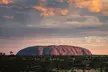 Uluru (Ayers Rock) Sunset + Outback Barbecue Dinner & Star Talk - Image 4