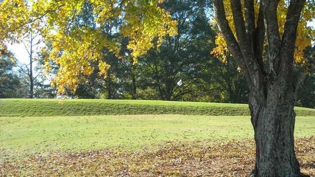 Online Booking - Round of Golf at College Park Golf Course