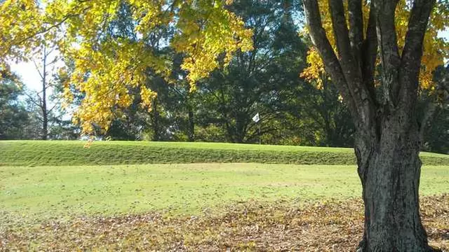 Online Booking - Round of Golf at College Park Golf Course - Primary Image