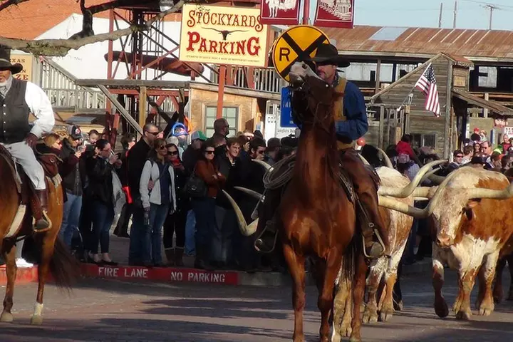 Dallas and Fort Worth City Sightseeing Tour Small-Group