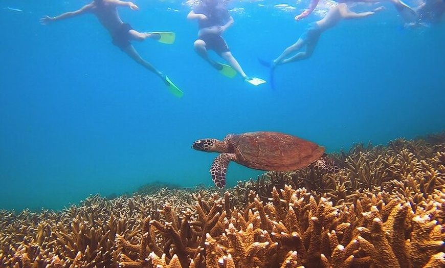 Image 3: Great Keppel Island Day Trip with Lunch