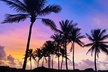 Sunrise Yoga and Meditation by the Ocean in Miami Beach - Second Medium