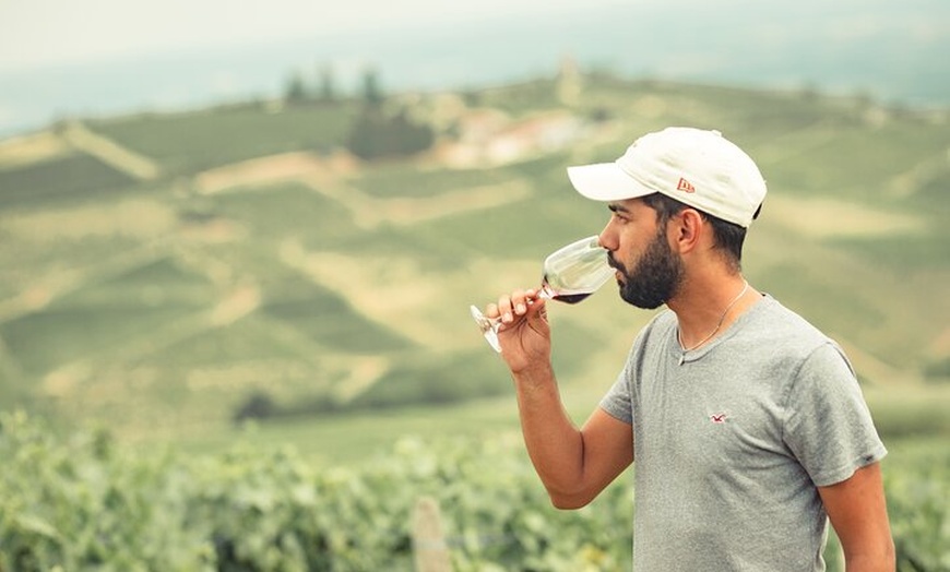 Image 6: Excursion privée d'une journée au départ de Lyon en Beaujolais