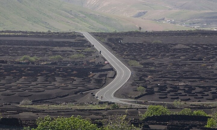 Image 7: Recorrido a pie de medio día para grupos pequeños por los viñedos d...