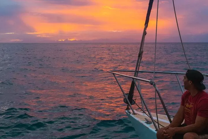 Snorkel with Manta Rays Guaranteed