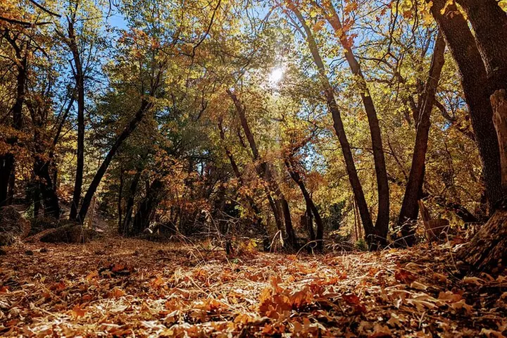 Family-Friendly Nature Hike around the Big Bear Valley