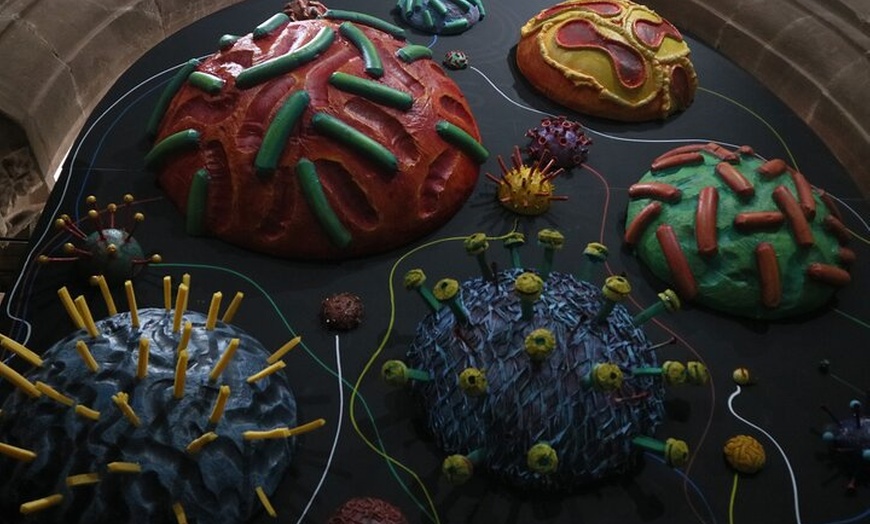 Image 3: Admission Ticket to Sick To Death in Chester