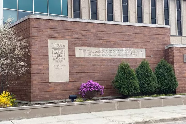 Small-Group Tour of Chicago Neighborhoods: North and South Side