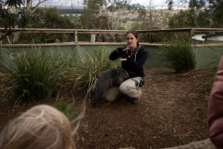 Hobart: Mt. Field, Mt Wellington & Wildlife - Active Day Tour