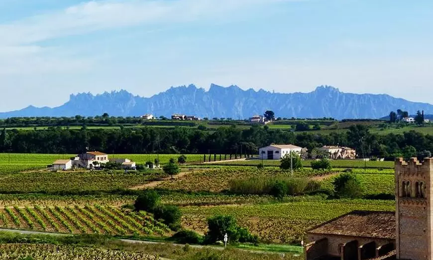 Image 5: Excursión privada de experiencia de cava en el Penedès desde Barcelona