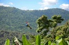 Ziplining at the Rainforest in Puerto Rico