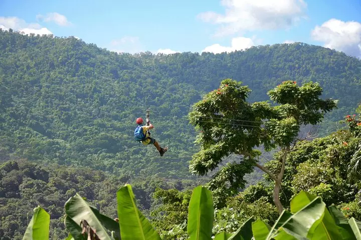 Ziplining at the Rainforest in Puerto Rico - Primary Image