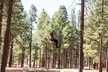 Ledgewood Adventure Course - Second Medium